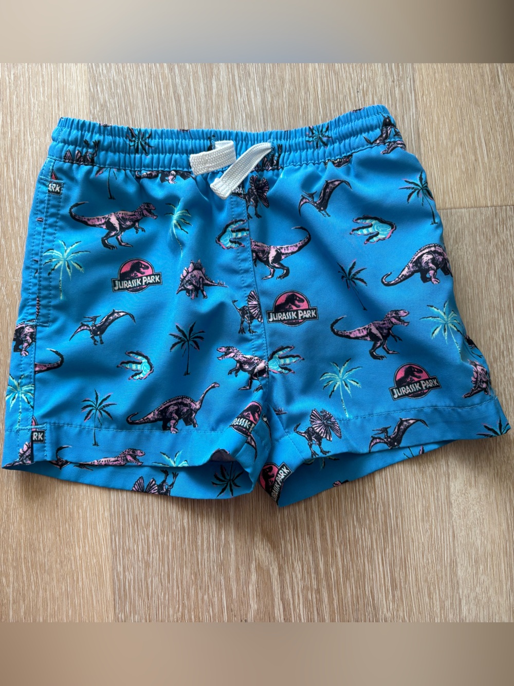 Chubbies Jurassic Park swim trunks